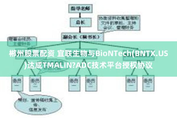 郴州股票配资 宜联生物与BioNTech(BNTX.US)达成TMALIN?ADC技术平台授权协议