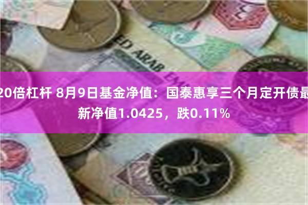 20倍杠杆 8月9日基金净值：国泰惠享三个月定开债最新净值1.0425，跌0.11%