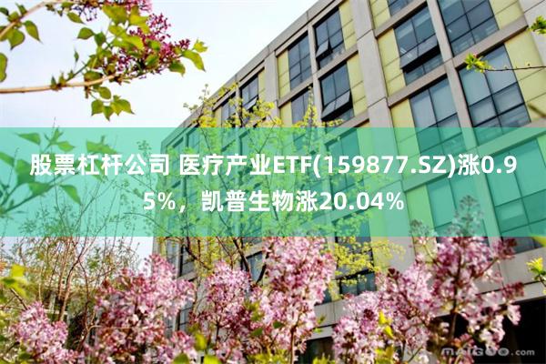 股票杠杆公司 医疗产业ETF(159877.SZ)涨0.95%，凯普生物涨20.04%