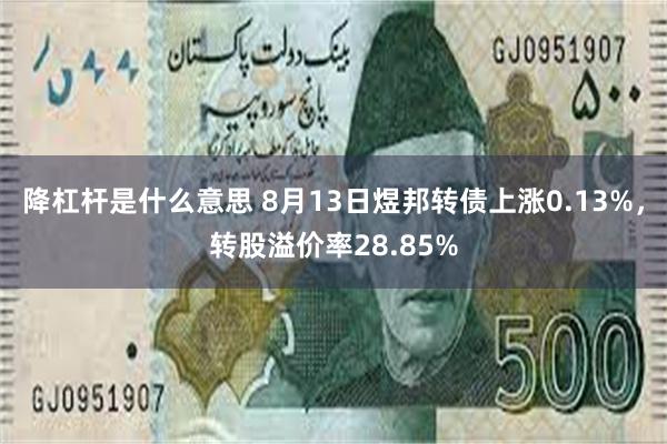 降杠杆是什么意思 8月13日煜邦转债上涨0.13%，转股溢价率28.85%