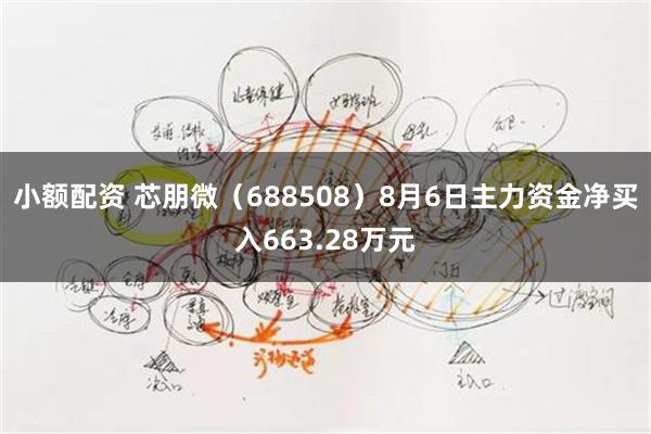 小额配资 芯朋微（688508）8月6日主力资金净买入663.28万元