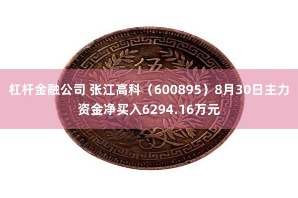 杠杆金融公司 张江高科（600895）8月30日主力资金净买入6294.16万元