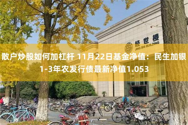 散户炒股如何加杠杆 11月22日基金净值：民生加银1-3年农发行债最新净值1.053