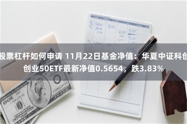 股票杠杆如何申请 11月22日基金净值：华夏中证科创创业50ETF最新净值0.5654，跌3.83%