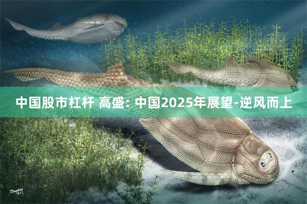 中国股市杠杆 高盛: 中国2025年展望-逆风而上