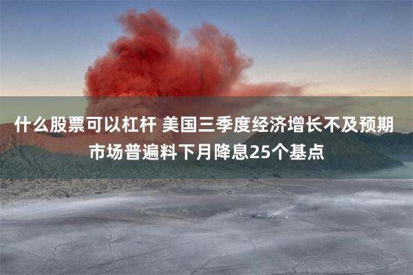 什么股票可以杠杆 美国三季度经济增长不及预期 市场普遍料下月降息25个基点