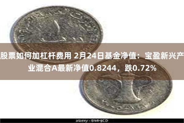 股票如何加杠杆费用 2月24日基金净值：宝盈新兴产业混合A最新净值0.8244，跌0.72%