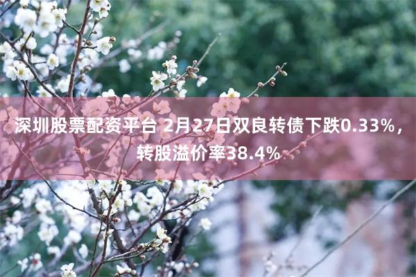 深圳股票配资平台 2月27日双良转债下跌0.33%，转股溢价率38.4%