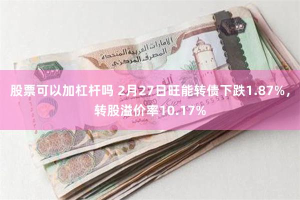 股票可以加杠杆吗 2月27日旺能转债下跌1.87%，转股溢价率10.17%